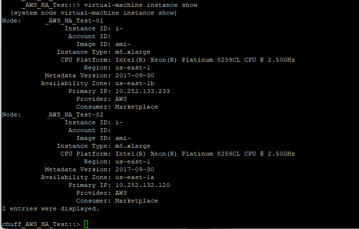 instance details.png